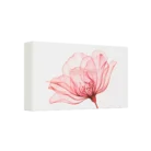 1116610-rituals-ayurveda-giftset-s-flower-pack_4-by-3