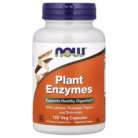plant anzyme1